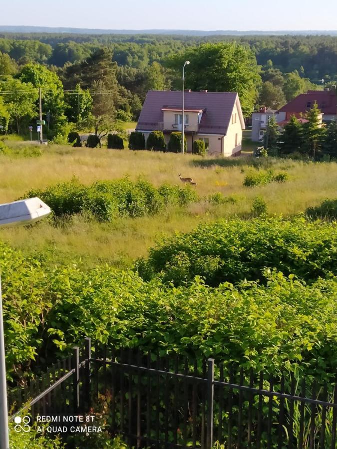 Mocik Apartamento Jastrzębia Góra Exterior foto